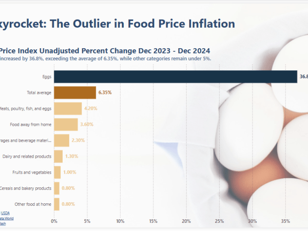 Enhancing Bar Charts in Power BI: A 2025 Workout Wednesday&nbsp;Challenge